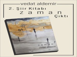 Vedat Aldemir'in ikinci kitabı çıktı