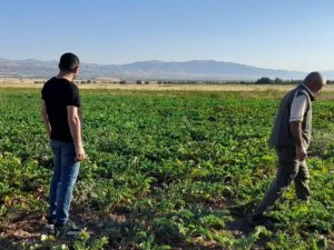 Elazığ'da kaçak avcılığın önlenmesi için denetimler sürüyor