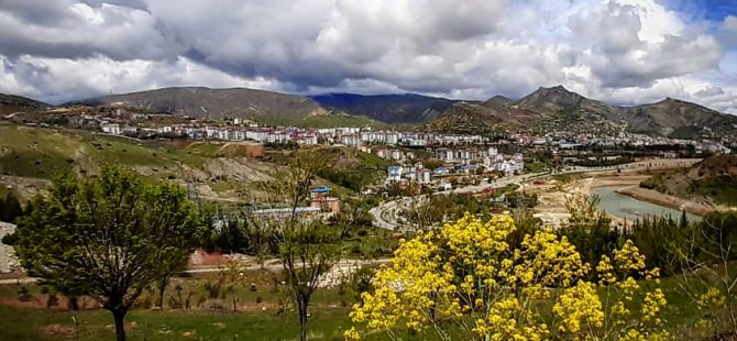 Dersim ve Erzincan'daki maden faaliyetleri yüzünden bölgede canlılar tehdit altında