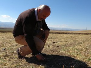 Dr. Dölek, Muş’un 2012’den 2050 yılına uzanan sıcaklık ve yağış trendlerini analiz etti