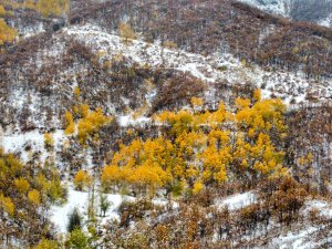 Dersim’de yüksek kesimlerine kar yağdı