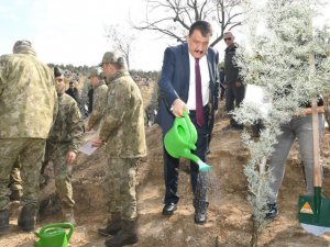 Malatya’da Türkiye Yüzyılına Nefes için fidan dikildi