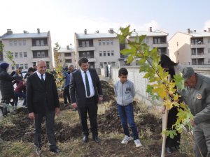 Bulanık’ta, fidanlar toprakla buluştu