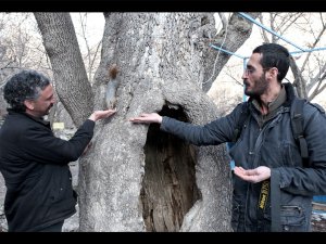 Kış geldi, Paşa’yı elleriyle besliyor