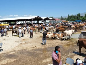 Erzincan canlı hayvan pazarı kapatıldı