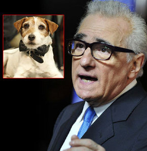 Martin Scorsese 'Uggie'yi kıskandı