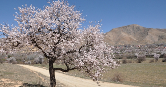 Tunceli'de İki Mevsim