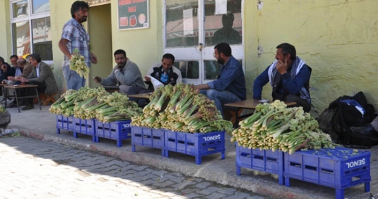 Ovacık Işkını  tezgâhlarda yerini aldı