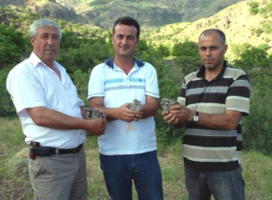 Tunceli'de tırtılla mücadele için doğaya keklik bırakıldı