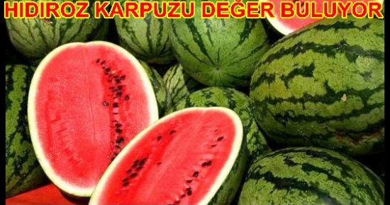 Hıdıroz Karpuzu Değer Buluyor