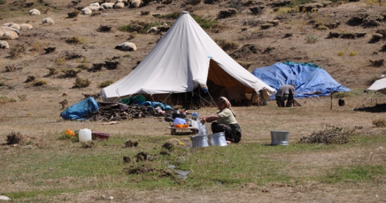 TUNCELİ'DE GÖÇERLER YAYLALARDAN DÖNÜŞE GEÇTİ