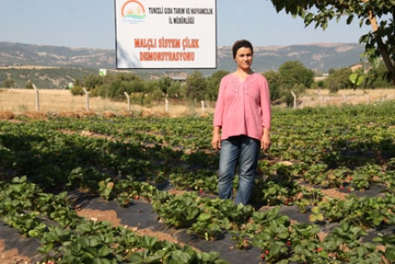 Tunceli Gıda, Tarım ve Hayvancılık İl Müdürlüğü tarla günü düzenledi