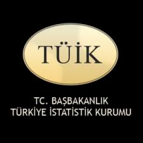 TÜİK KONUT SATIŞ İSTATİSTİKLERİNİ AÇIKLADI