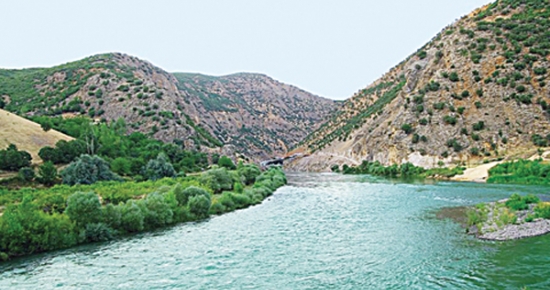 Dersim ormanlarına orantılı güç!