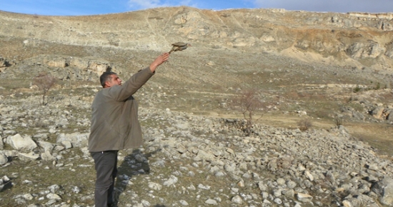 Çemişgezekli vatandaş evinde beslediği keklikleri doğaya bıraktı