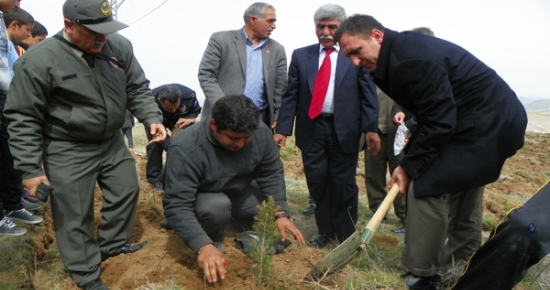 Çemişgezek’te ağaçlandırma seferberliği devam ediyor