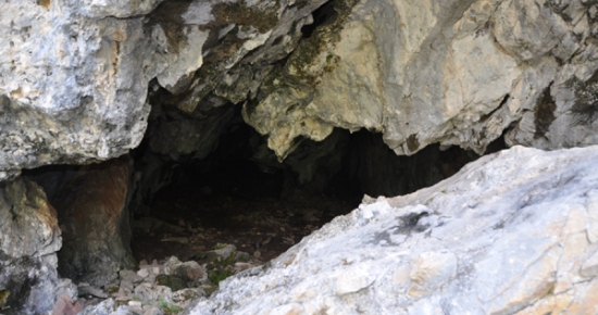 Dersim Katliamı'nın tanıkları: Kemikler