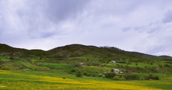 Pülümür’de Bahar Başkadır