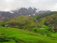 Dersim Doğa Gönüllüleri: Karagöz krom madenine karşıyız, ama neden?