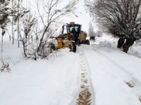 Dersim’de 242  Köy yolu ulaşıma kapalı