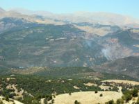 Milletvekili Erol, yangın bölgesini inceledi