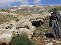 Dersim’de yayla zamanı