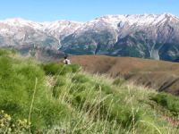 Dersim dağlarında mantar için zorlu yolculuk