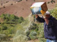 Ata tohumlarıyla üretilen kuru fasulye, rüzgar çağrılarak ayıklanıyor