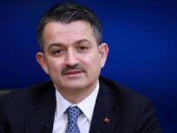 Bakan Pakdemirli: Tunceli'de 83 bin fidan dikeceğiz