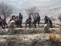 Elazığ Jandarma, Harput Mahallesine 2 bin fidan dikti