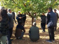 "Iğdır meyveciliğinde budama ve aşılama eğitimi’’ projesi