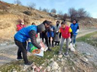 Gençler sokak ve yaban hayvanları için yiyecek bıraktı