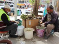 Elazığ’da 'Çiriş' ve 'Kenger' otu, tezgahlardaki yerini aldı