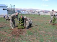 Bingöl’de jandarma şehitler anısına fidan dikti