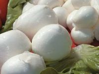 Mozzarella'nın da 'helal'i geliyor