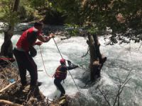 Siirt'te kayıp hemşireyi arama çalışmaları 33'üncü gününde