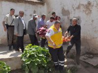 Vahşet! Eşini ve 24 günlük bebeğini öldürdü