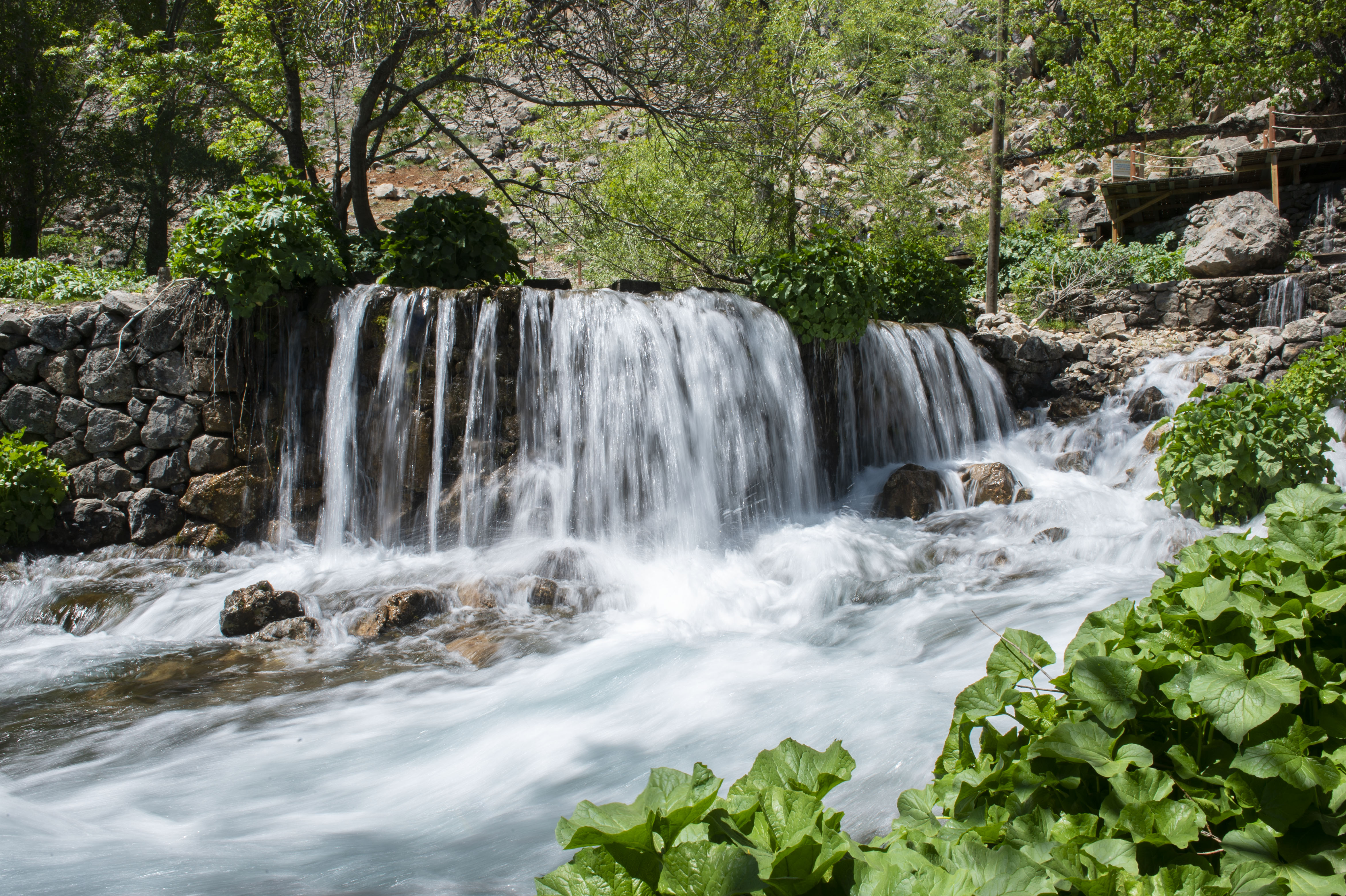 doga-tutkunlarinin-gozde-adresi-munzur-gozelerinde-ilkbahar-guzelligi-(5).jpg